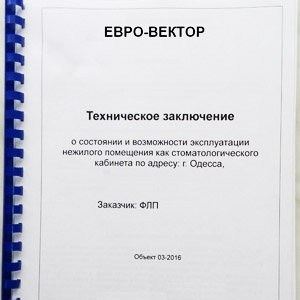 изготовление технического отчета